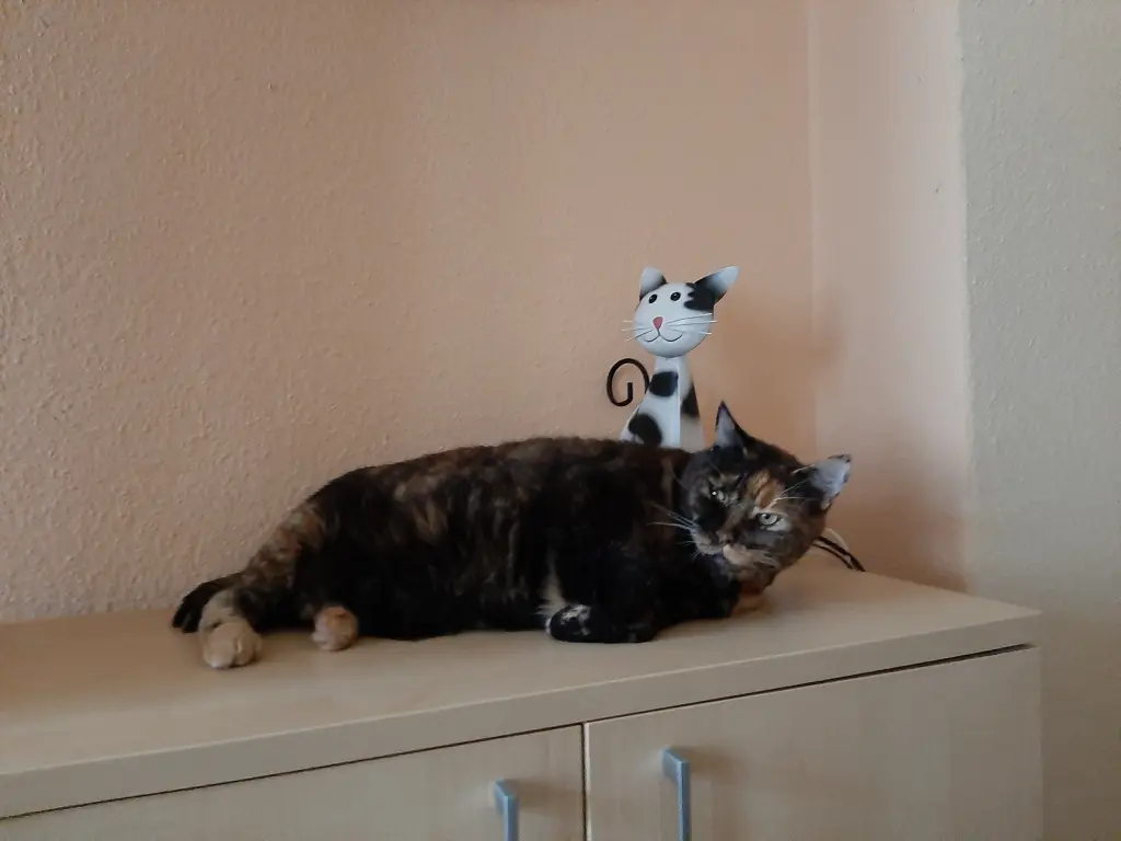 Condolence image of Heike 