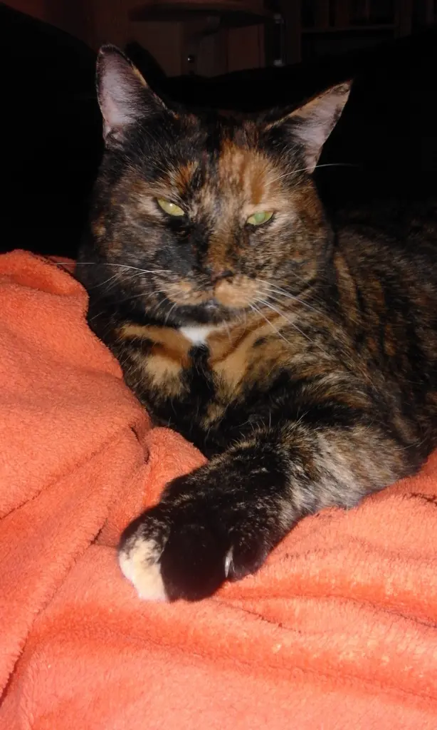 Condolence image of Heike