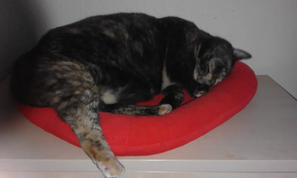 Condolence image of Heike 