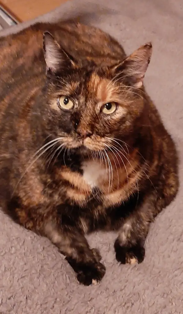 Condolence image of Heike