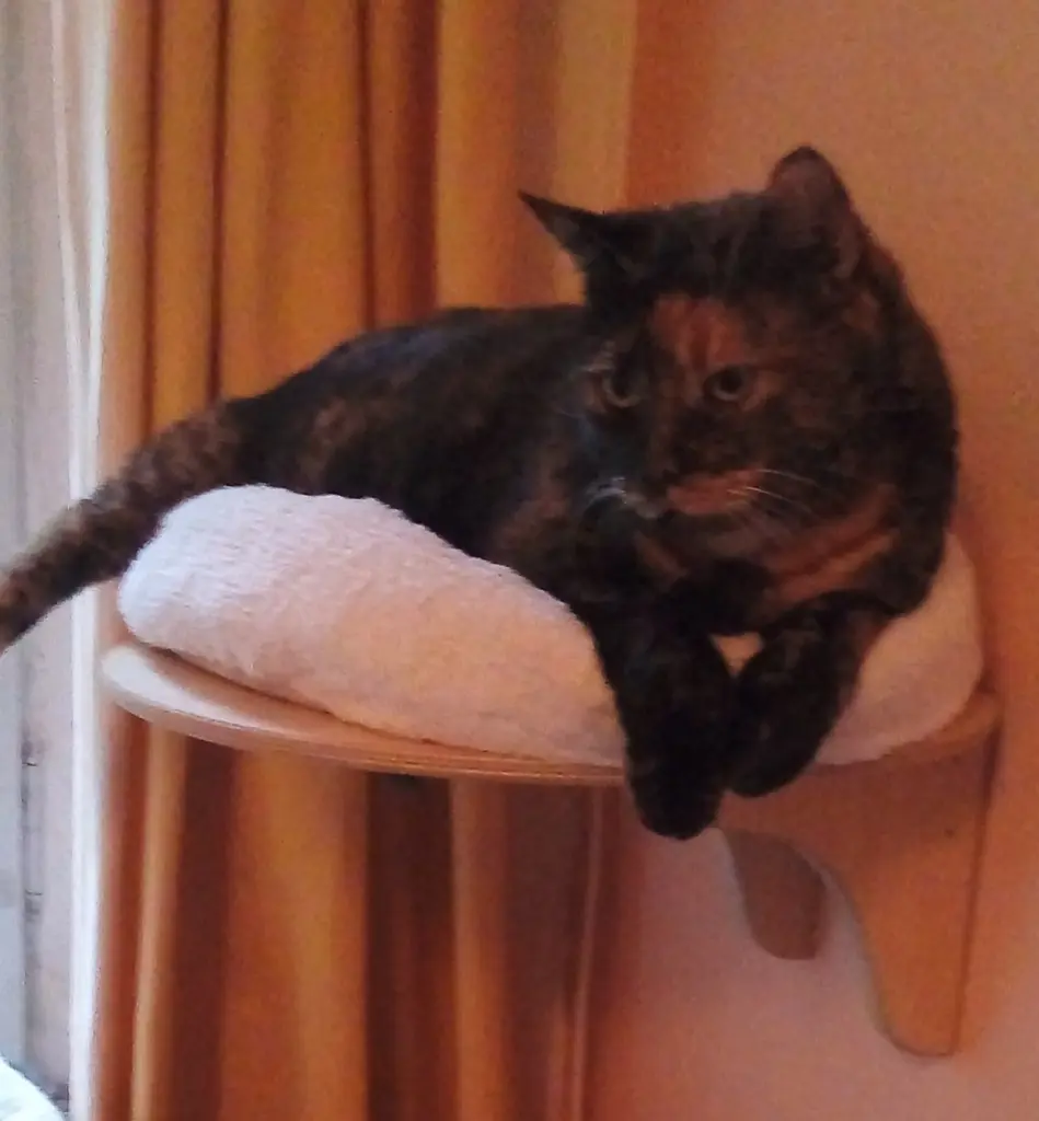 Condolence image of Heike