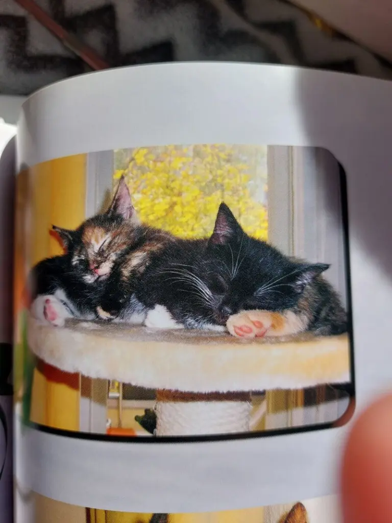 Condolence image of Heike mit Cleo im❤️