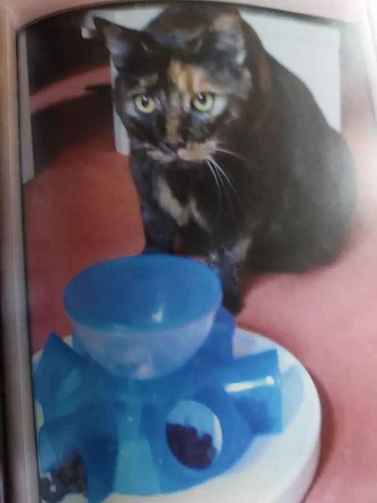 Condolence image of Heike mit Cleo im❤️