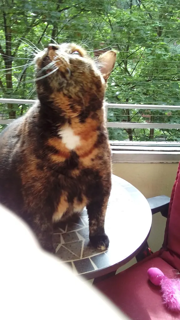 Condolence image of Heike mit Cleo im❤️