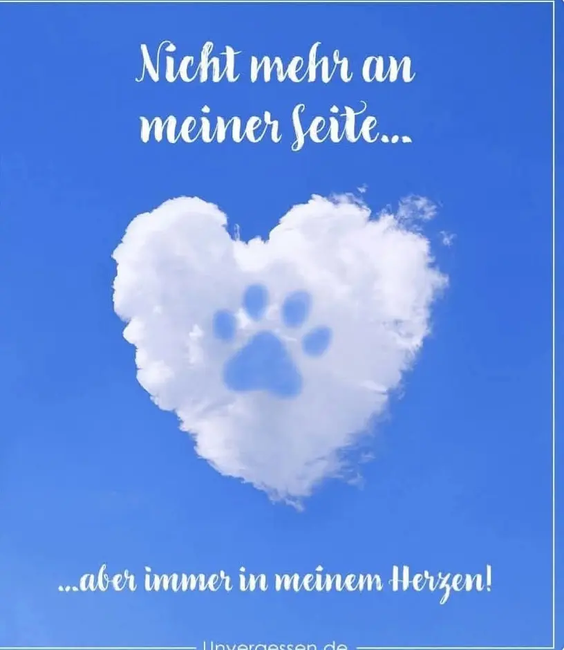 Condolence image of Heike mit Cleolchen & FibiPüppi im ♥️en