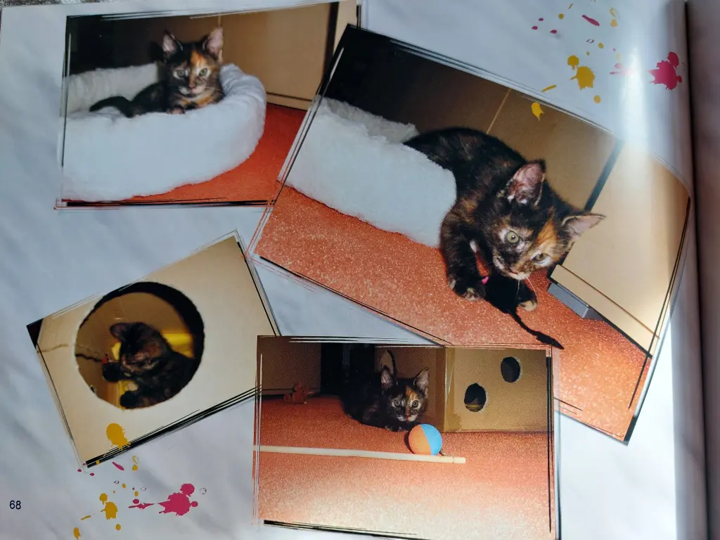Image from Cleo