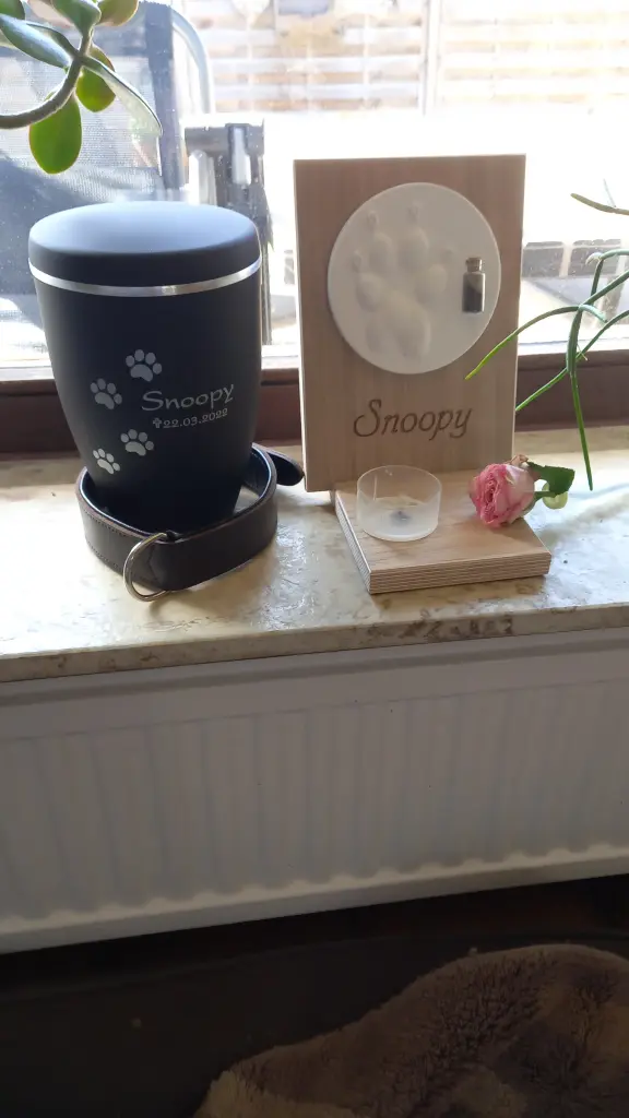 Image from Snoopy