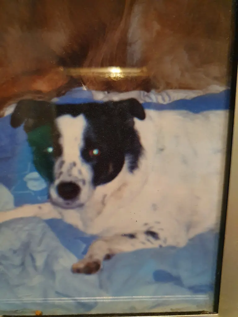 Image from Bella