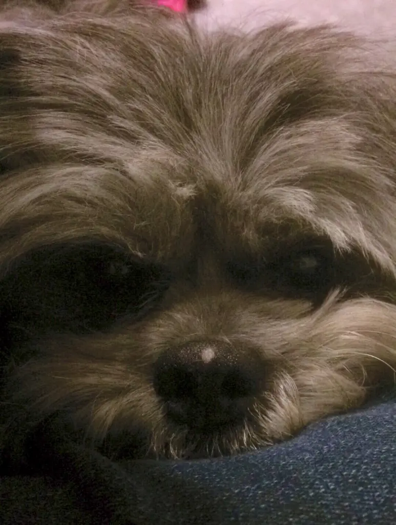 Condolence image of Natalia