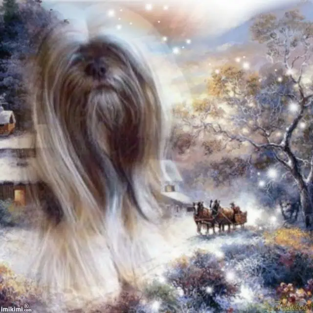 Condolence image of Mami