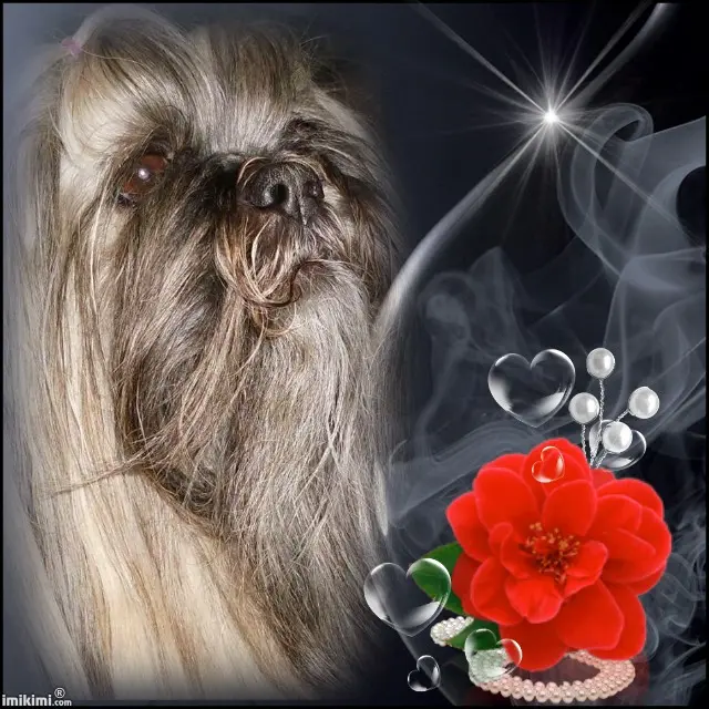 Condolence image of Mam