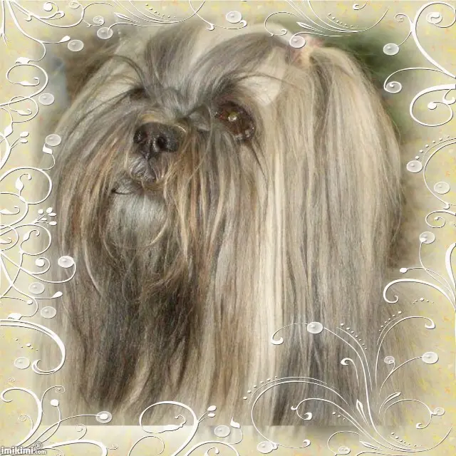 Condolence image of Mami