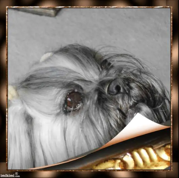 Condolence image of Mammi