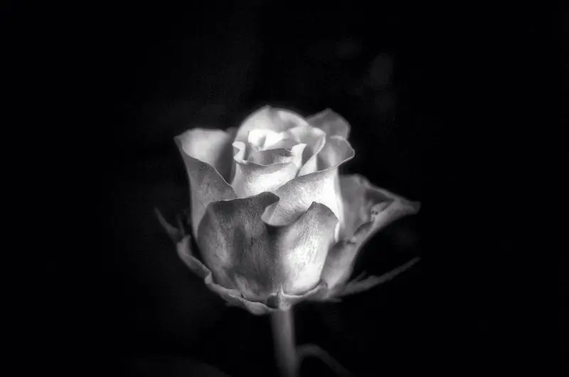 Condolence image of Mami