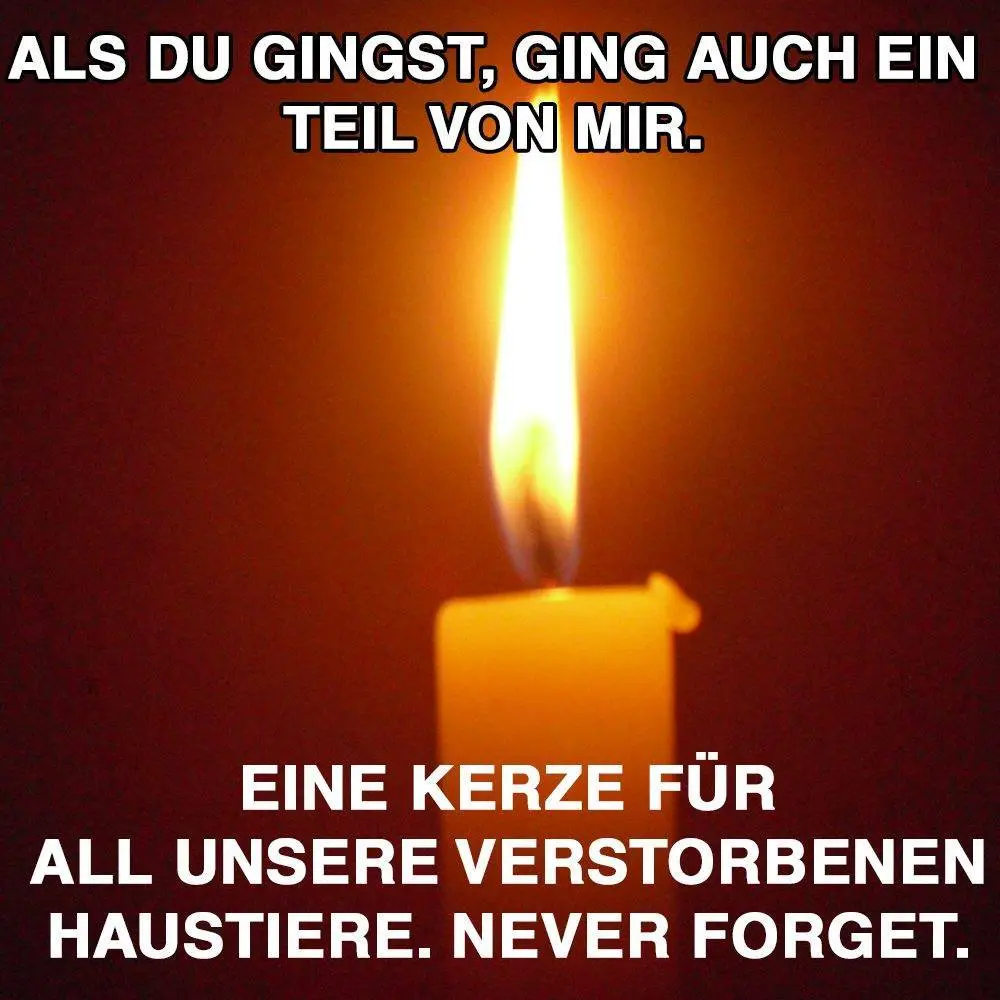 Condolence image of Unbekannt