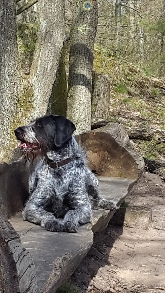 Bild von Meloco