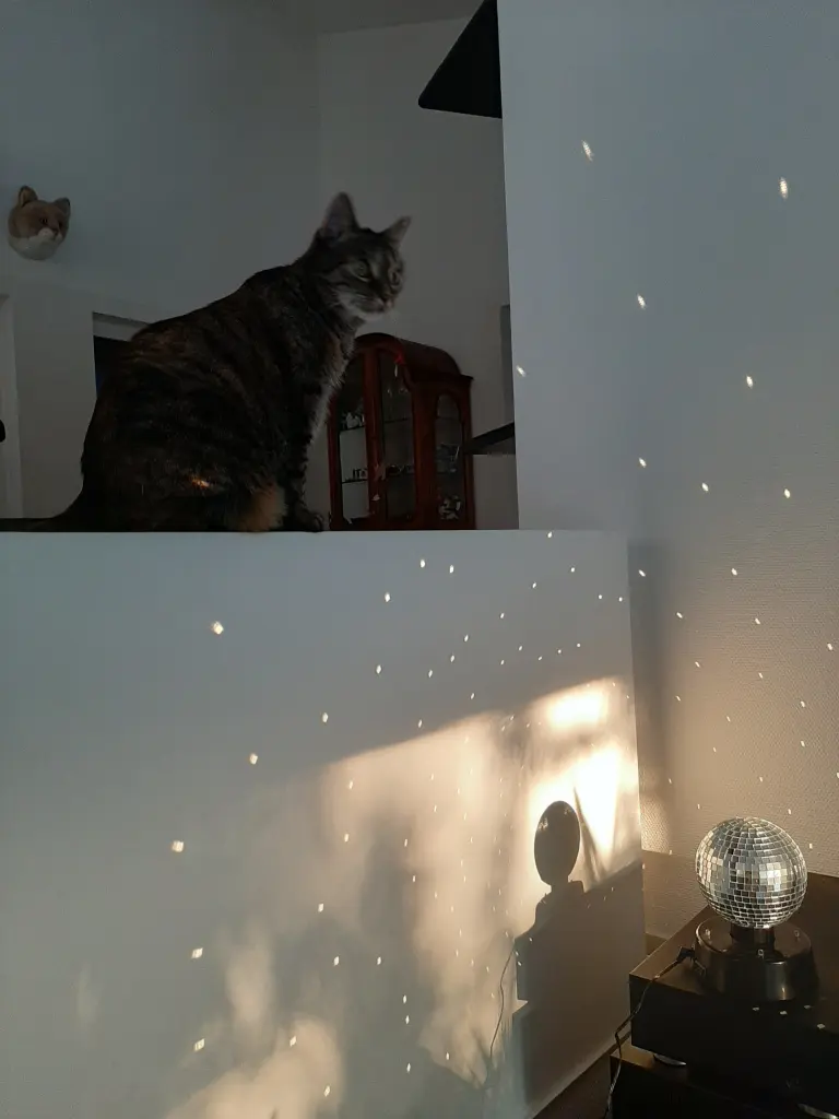 Image from Nelly