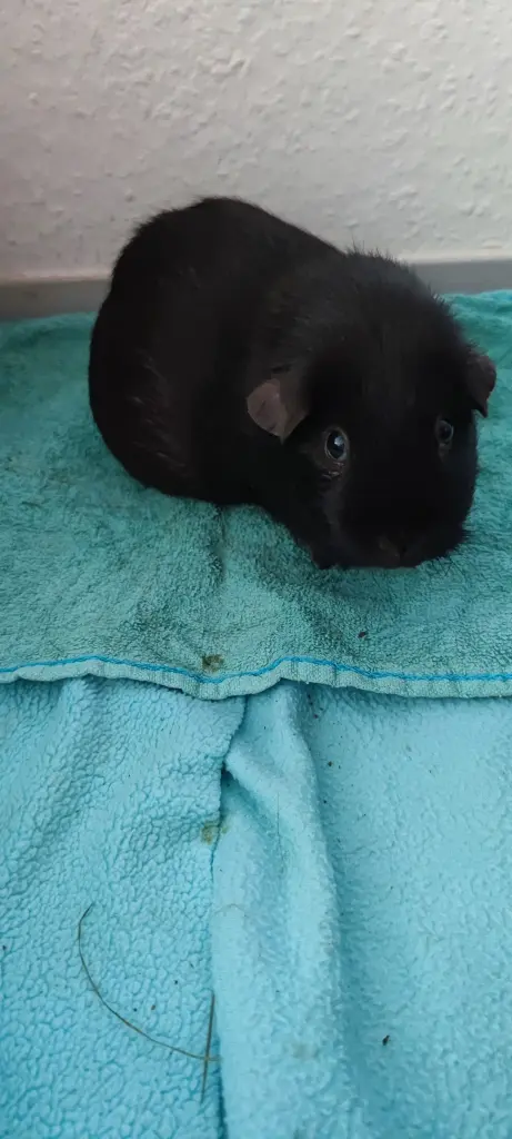 Image from Lucy