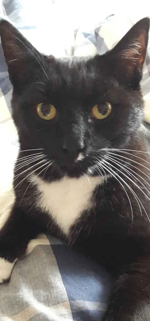 Image from Milow