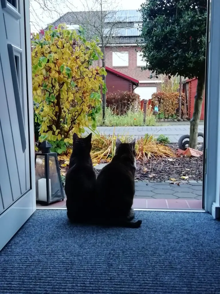Image from Milow
