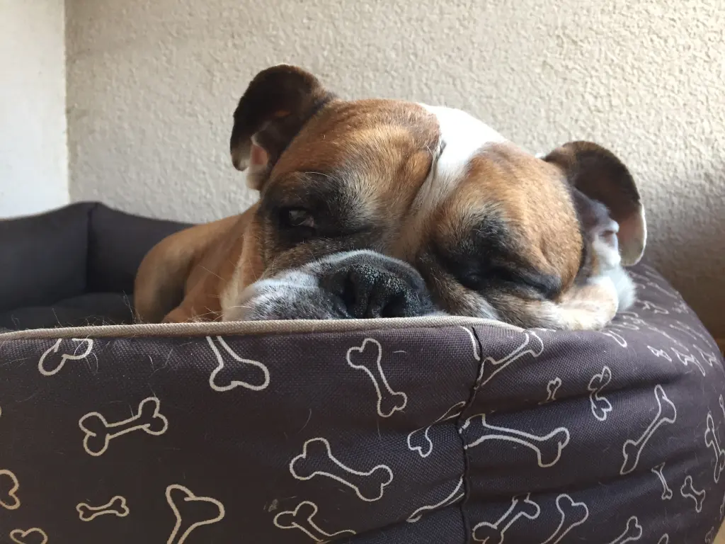Image from Fritz