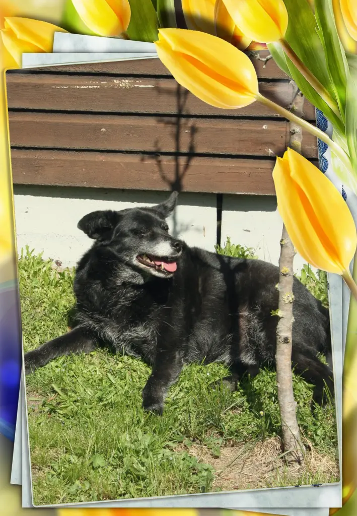 Condolence image of Sabine