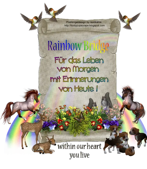 Condolence image of Gabi mit Max gest.20.11.2020❣️