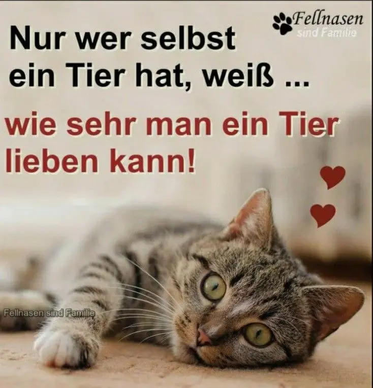 Image from Ostern im Regenbogenland ♥️