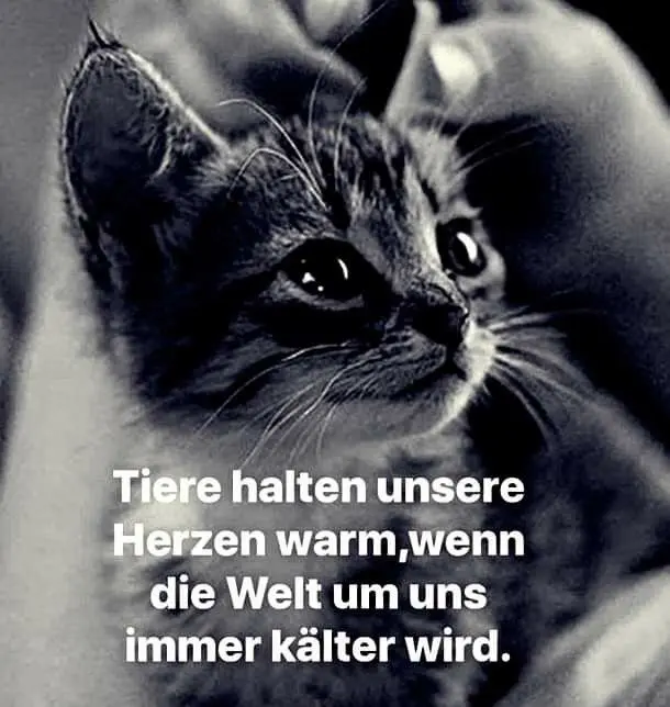 Image from Ostern im Regenbogenland ♥️