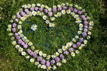 Condolence image of Unbekannt