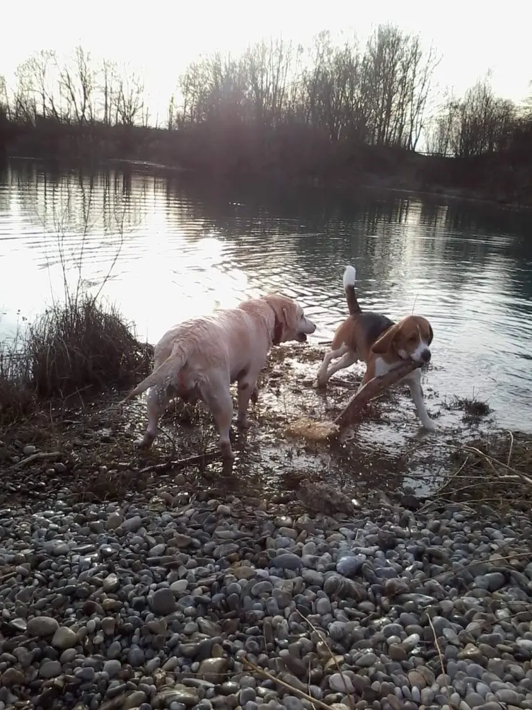 Image from Benny