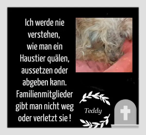 Condolence image of Sonntagsrosen und liebevolle Gedanken anTeddy꧁❤️