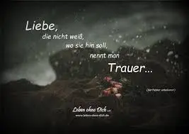 Condolence image of Teddy❤❤❤