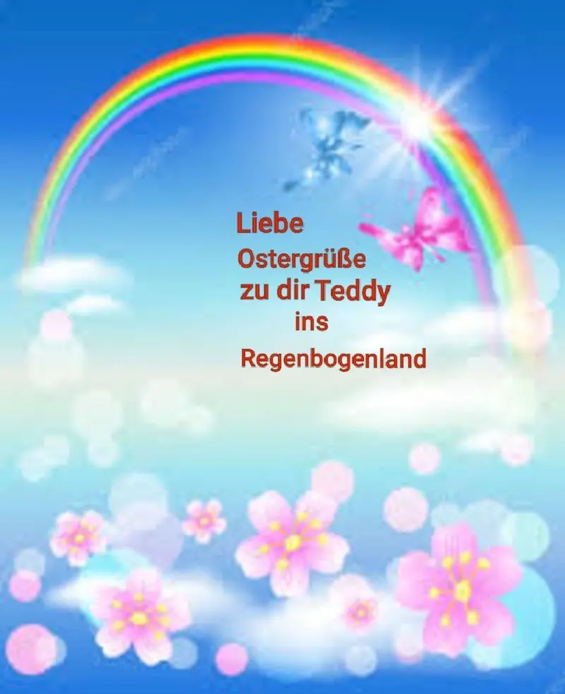 Condolence image of Ostern im Regenbogenland ????
