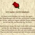 Condolence image of Snoopy ❤Pünktchen