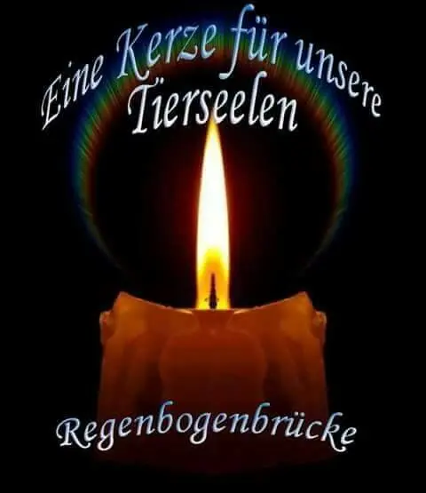 Condolence image of Claudia mit ASKO❤️