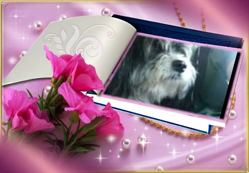Andachtsbild von Christine mit Lucky im Herzen