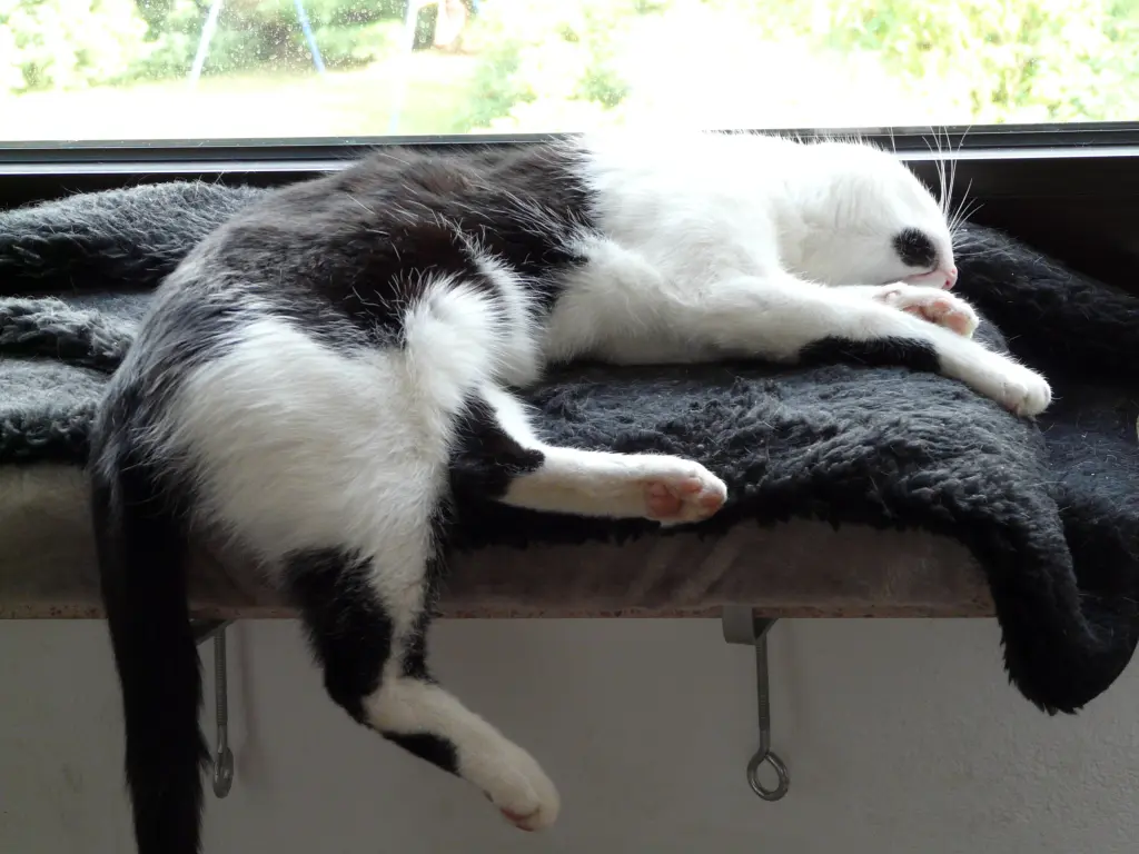 Bild von Nefertari
