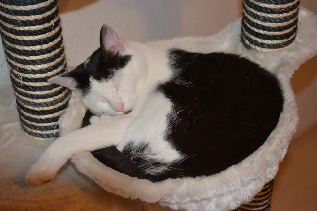 Bild von Nefertari