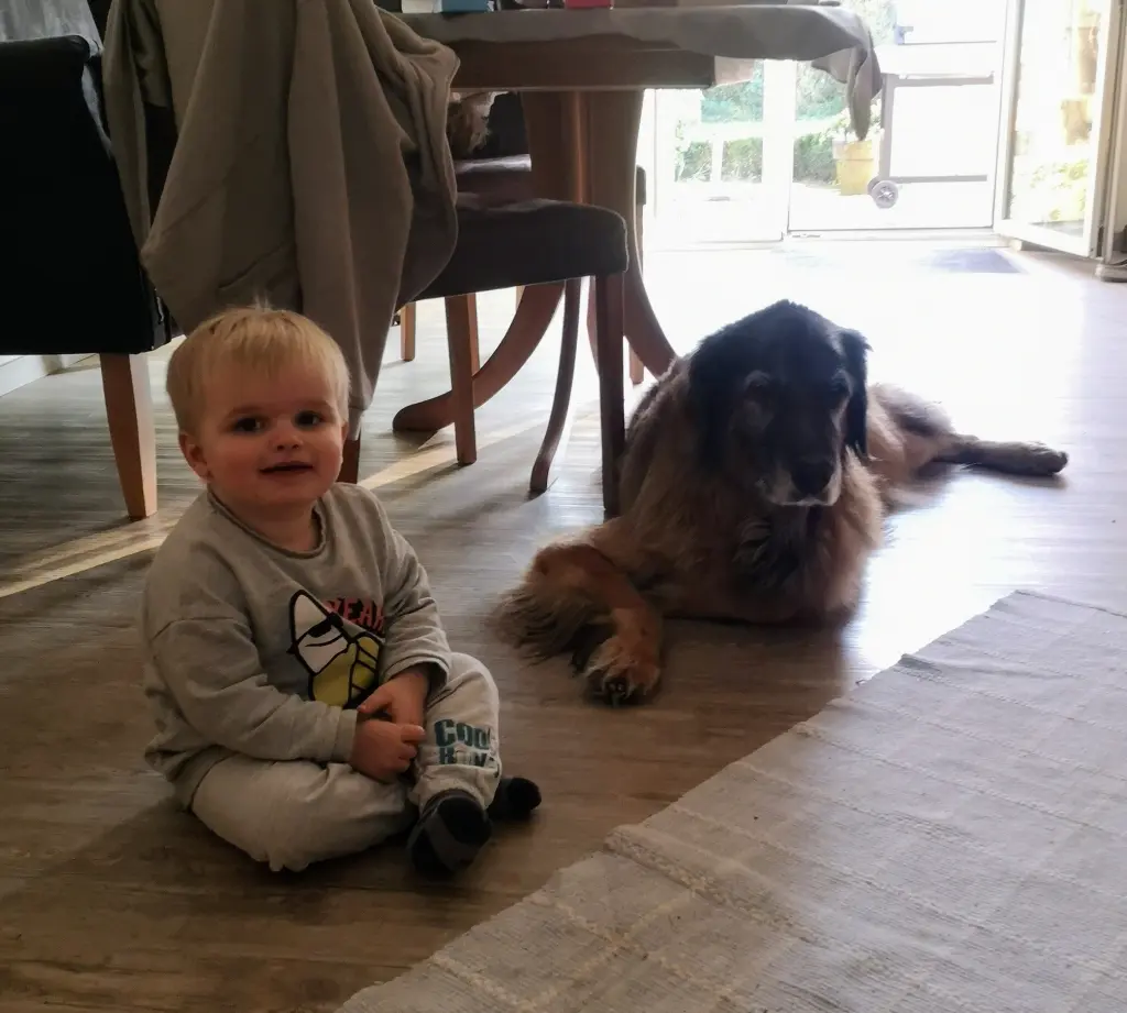 Image from Joy