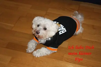 Image from Fips