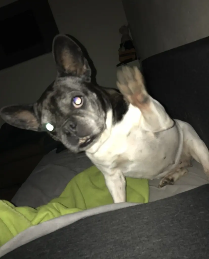Image from LouLou