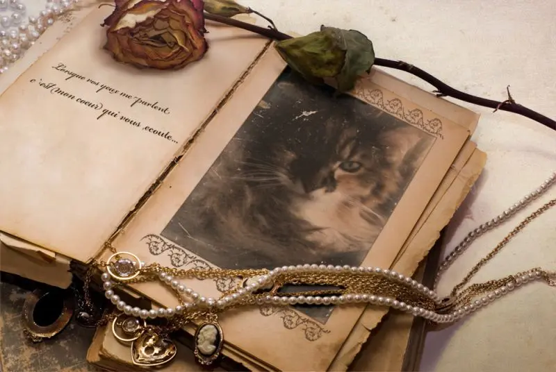Image from Loona 