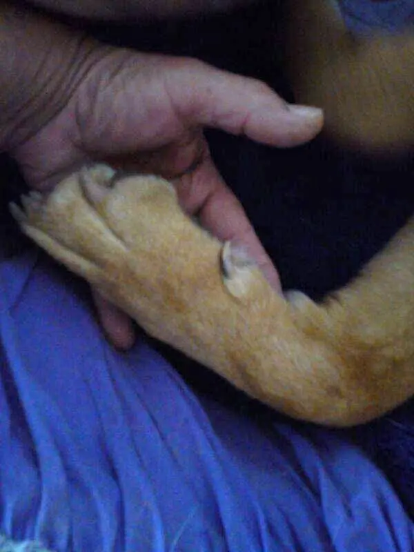 Image from Smurphy