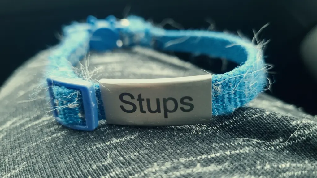 Image from Stups