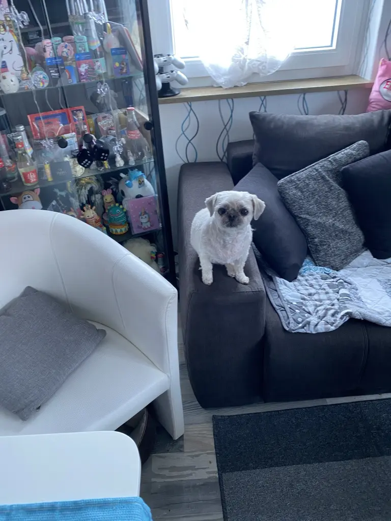 Image from Dipsy 