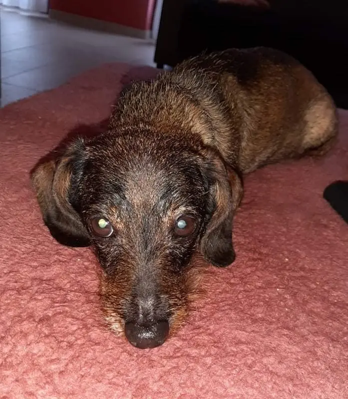 Condolence image of Margot
