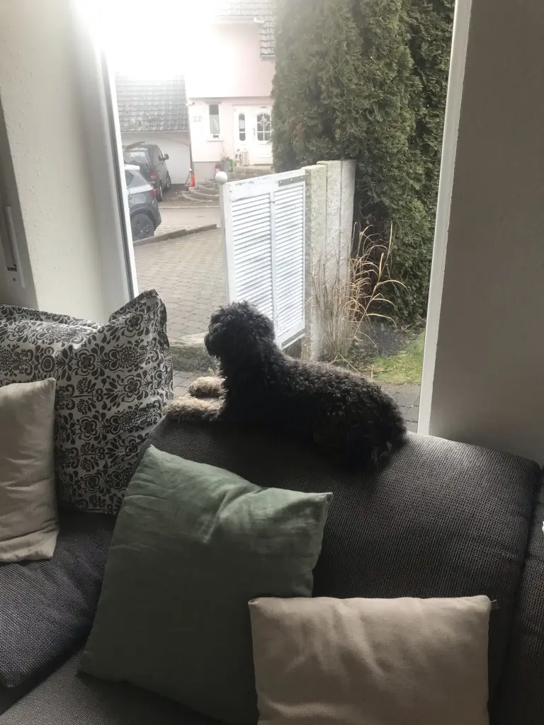 Image from Luke 