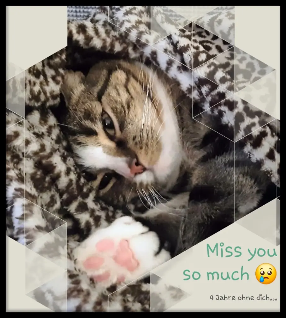 Condolence image of In ewiger Liebe ❤️ Mami ❤️