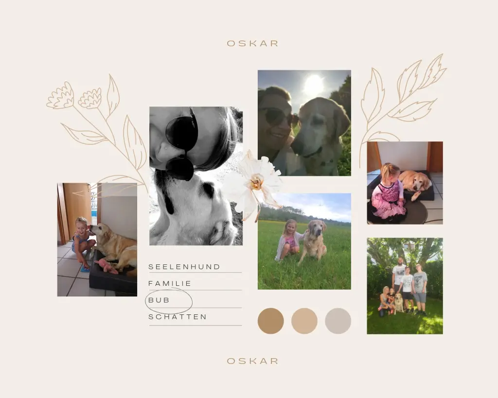 Image from Oskar